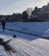 a person is walking a dog on a snowy street