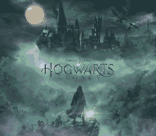 Hogwarts Game GIF - Hogwarts Game GIFs