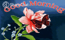 Good Morning Morning GIF - Good Morning Morning Butterfly GIFs