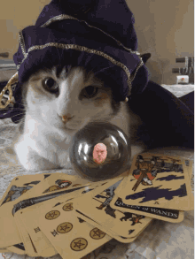 Coppercab Cat GIF - Coppercab Copper Cab GIFs