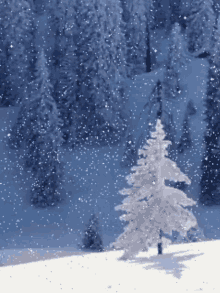 moving snow falling background