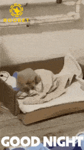 a puppy is wrapped in a blanket in a cardboard box with the words good night below it