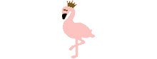 pmf flamingo peloton spin art