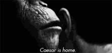 Apes Caesar Is Home GIF - Apes Caesar Is Home Planet Of The Apes GIFs