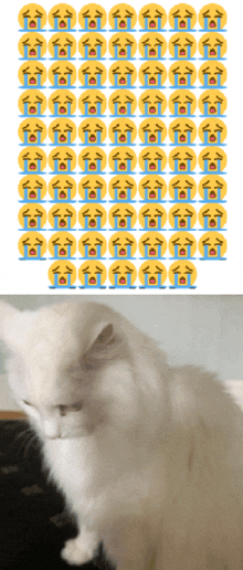 a picture of a cat next to a row of crying faces