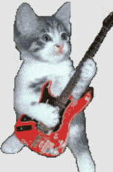 a cat is holding a red electric guitar