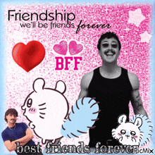 a poster that says friendship we 'll be friends forever best friends forever mix
