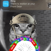 a cat wearing a helmet is surrounded by cards that say red area and viol