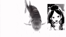 a black and white drawing of a shark and a girl .