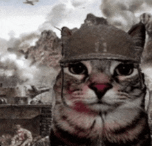 Cat Army GIF - Cat Army Soldier Cat GIFs