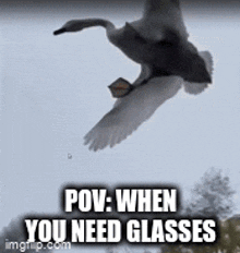 Glasses Duck GIF - Glasses Duck Flying GIFs