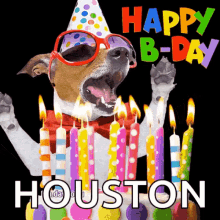 Happy Birthday Dog GIF - Happy Birthday Dog Celebration GIFs