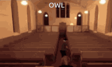 Dee Deepwoken GIF - Dee Deepwoken Owl GIFs