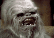 Wookie Derp GIF - Wookie Derp Star Wars GIFs
