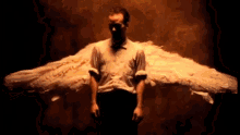 Angel Wings GIF - Angel Wings Staring GIFs