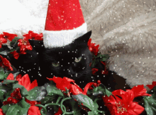 Santa Hat Happy Holidays GIF - Santa Hat Happy Holidays Poinsettia GIFs
