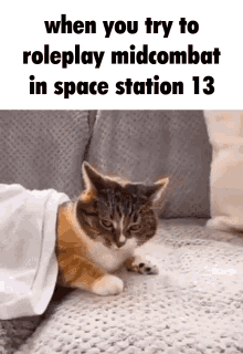 Space Station13 Jones The Cat GIF - Space Station13 Space Station Jones The Cat GIFs