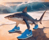 a shark is walking on the beach wearing blue nike shoes .