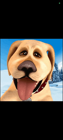 a close up of a dog 's face with its tongue hanging out