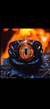 a close up of a spider 's eye on a black surface