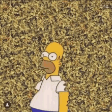 Homer Simpson GIF - Homer Simpson Simpsons GIFs