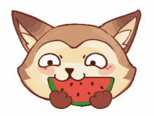 eating watermelon cat yummy delicious