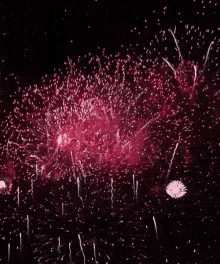 Fireworks GIF - 4th Of July Independence Day America GIFs