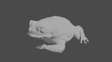 Frog Toad GIF - Frog Toad Bruh GIFs