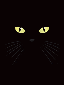 Cat Kitty Cute Lick Black Cat GIF - Cat Kitty Cute Lick Black Cat GIFs
