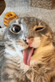 a cat with a pink tongue sticking out