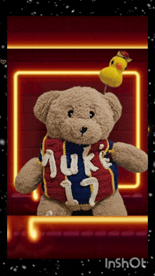 a teddy bear wearing a shirt that says nuk 17