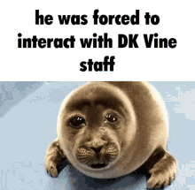 He Was Forced To Dk Vine GIF - He Was Forced To Dk Vine He Was Forced To Interact With Dk Vine Staff GIFs
