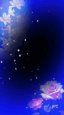 a blue background with white flowers and a purple rose