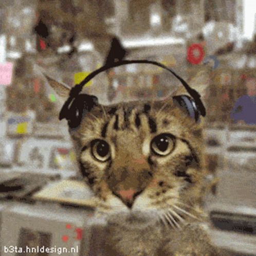 Cat With Headphones GIFs | Tenor