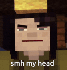 a minecraft character with a block on his head and the words smh my head below him