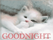 Goodnight Sleepy GIF - Goodnight Sleepy Sweet Dreams GIFs
