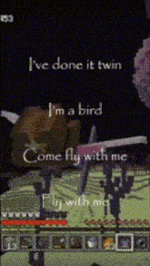 a screenshot of a video game says i 've done it twin i 'm a bird come fly with me fly with me