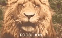 lion narnia