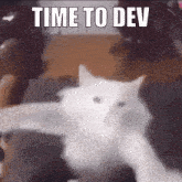 a white cat is laying down with the words time to dev written above it
