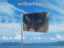Wilbur Cat GIF - Wilbur Cat Wilbur Cat GIFs