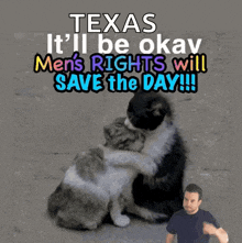 a picture of two cats hugging with the caption texas it 'll be okay men 's rights will save the day !!!