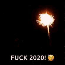 fireworks new year celebration