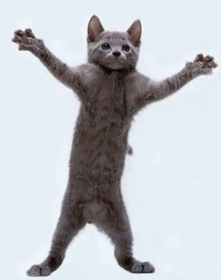 cute cat dancing but full version on Make a GIF
