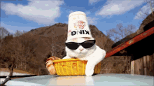 Noodle Hat? No Ty. GIF - Cat Noodle Hat GIFs