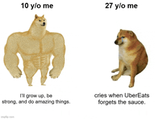a picture of a dog with the caption " i 'll grow up be strong "