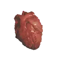 two pieces of red meat are laying on a white background