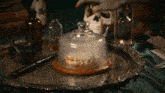 a cake in a glass dome on a tray next to a skull
