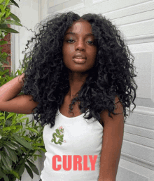 Curly Wigs GIF - Curly Wigs Lace Front GIFs