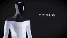 Tesla Bot GIF - Tesla Bot GIFs