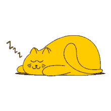 cat sleeping